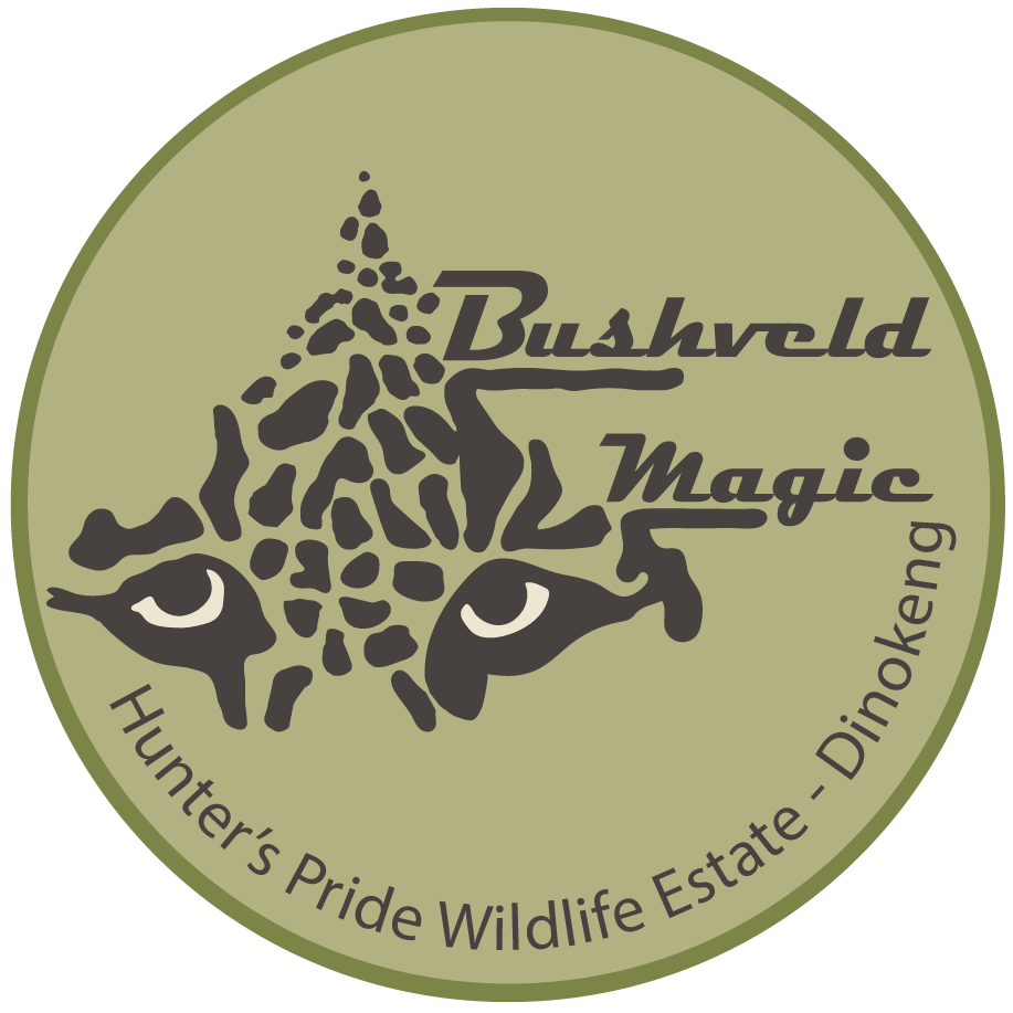logo-bushveld-magic-logo-hunterspride-dinokeng