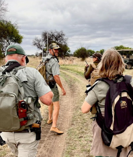 activities-gauteng-bushveld-magic-guided-game-safaris