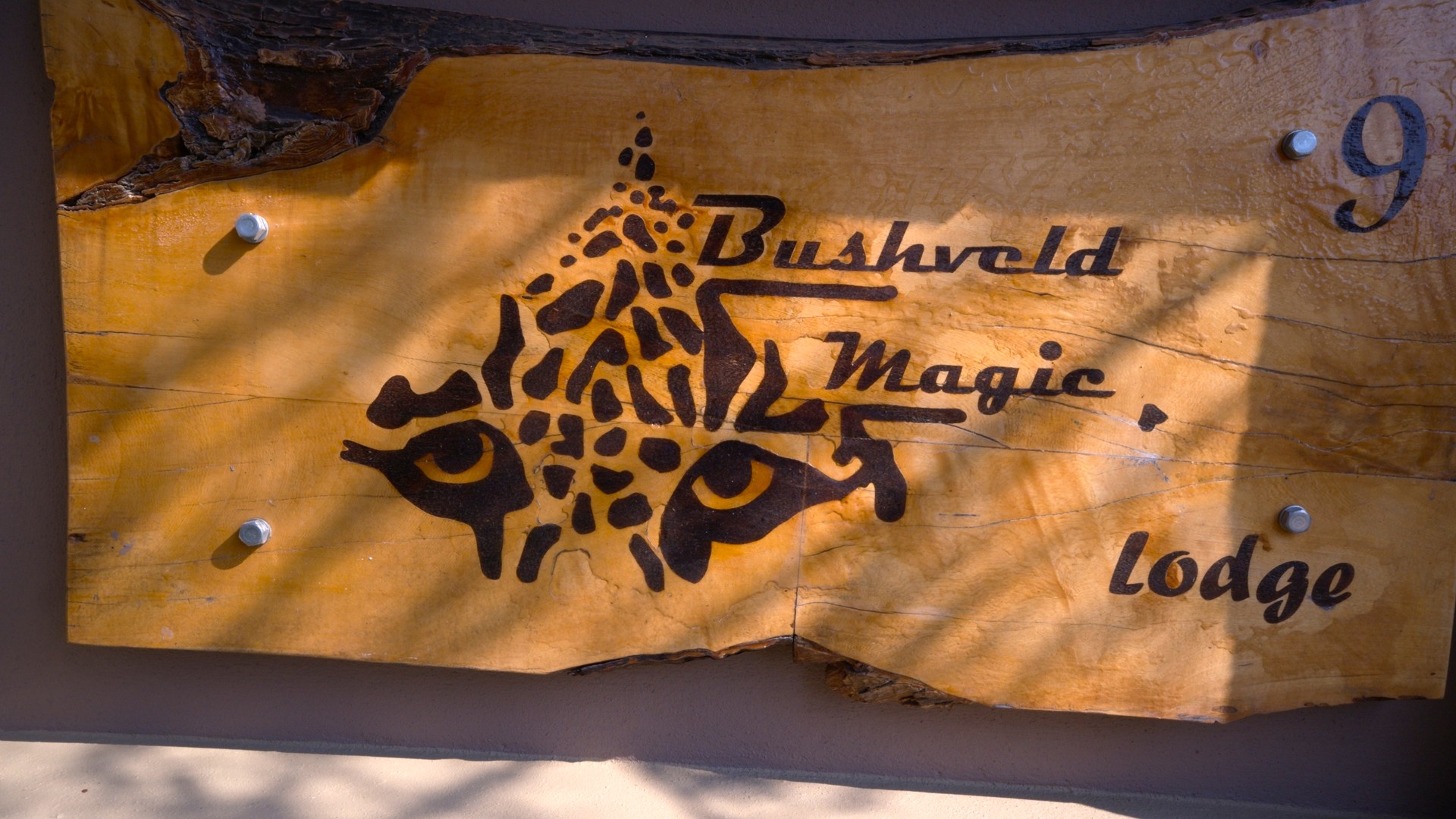busveld-magic-dinokeng-gauteng-swimming-pool